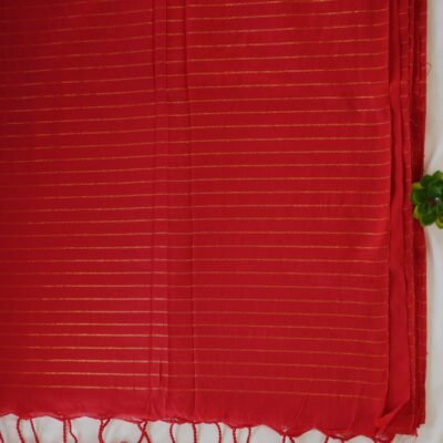 Zari Strip Cotton Saree