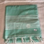 Minty Green Jhilmil small butta soft cotton saree