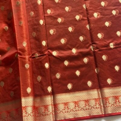 Banarasi Art Kora Organza Saree