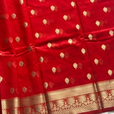 Banarasi Art Kora Organza Saree