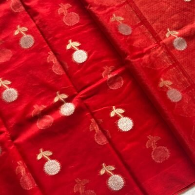 Banarasi Art Kora Organza Saree